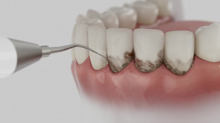 Reliable Dental contractor in Fayette, MS by Dentist Open Now